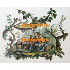 Scene  - #XBCH21  -  PRINT